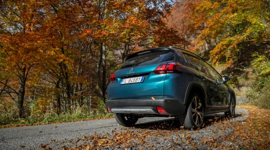 Autumn Driving Guide